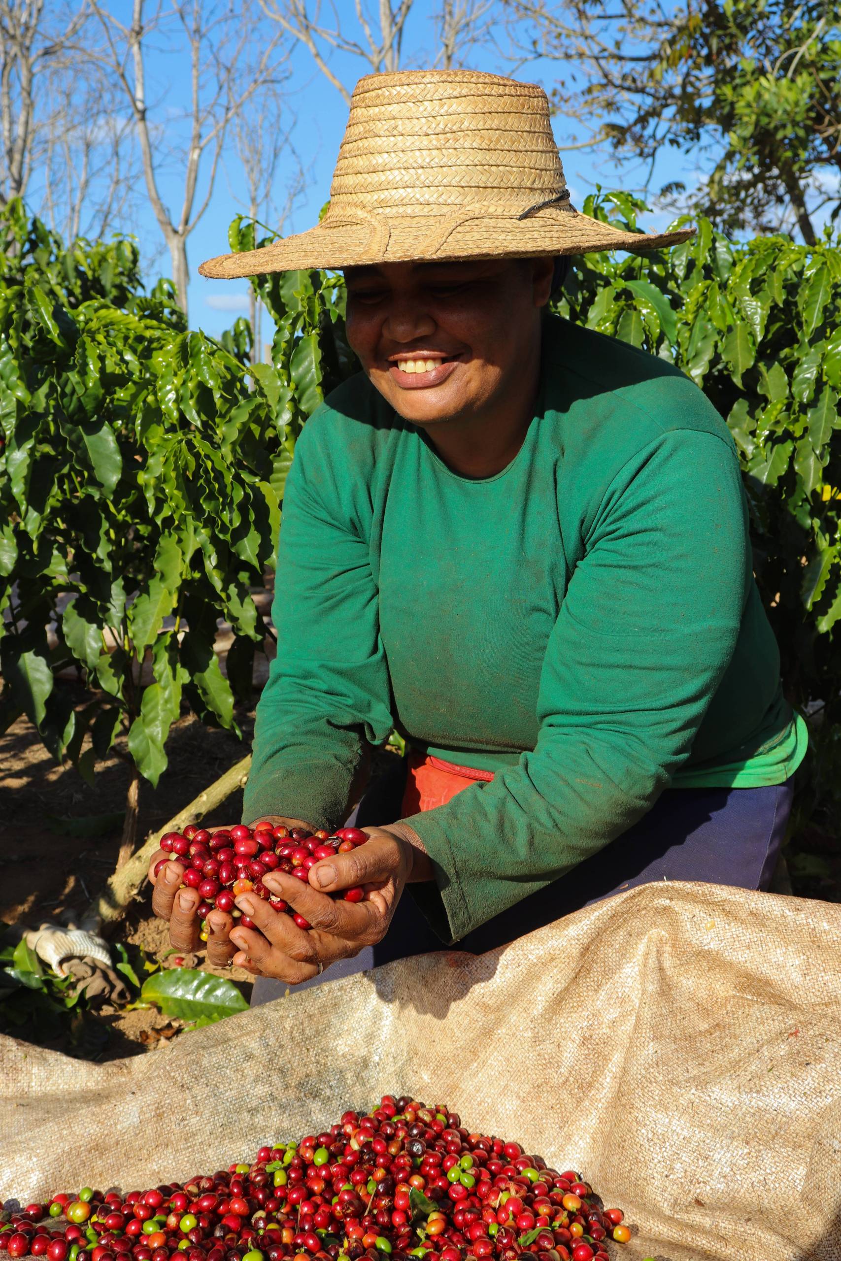 Come viene prodotto questo caffè?