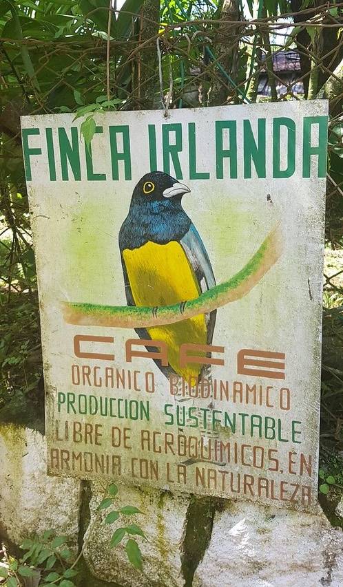 Our days on the estate, guests of Walter Peters, pioneer of biodynamic agriculture