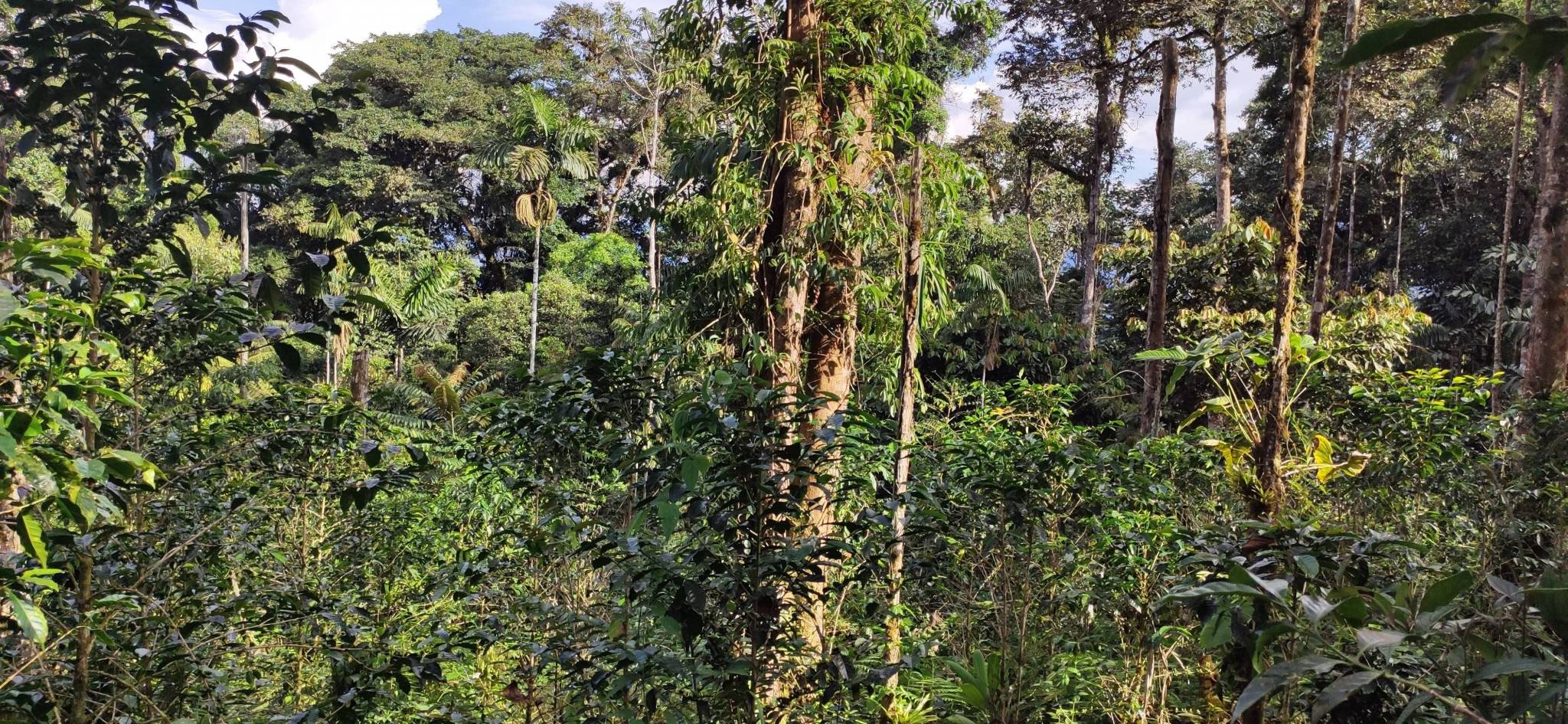 Our days on the estate, supporting virtuous enterprises