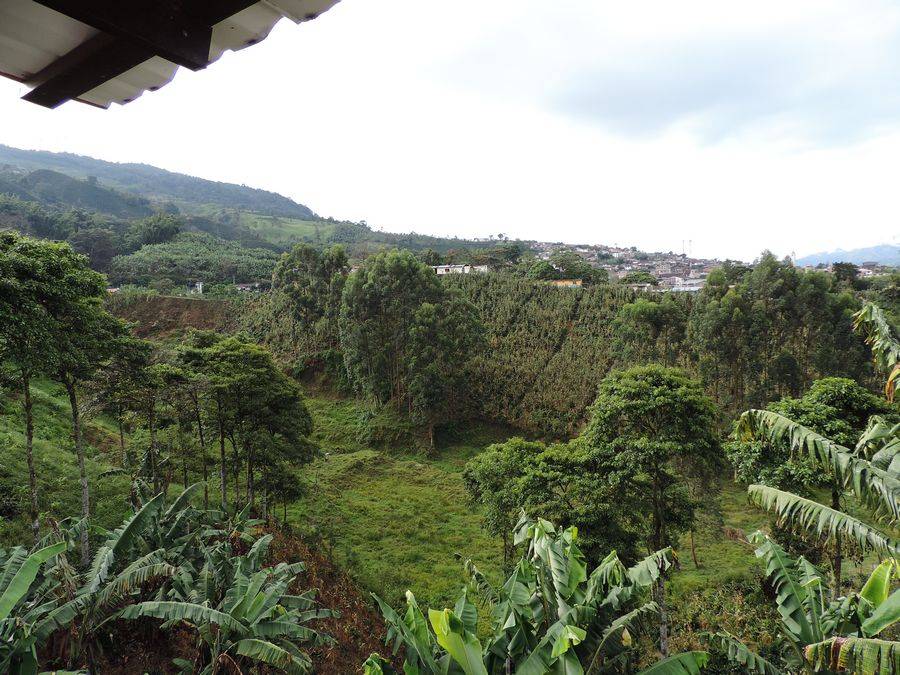 Where does the coffee we have selected come from?