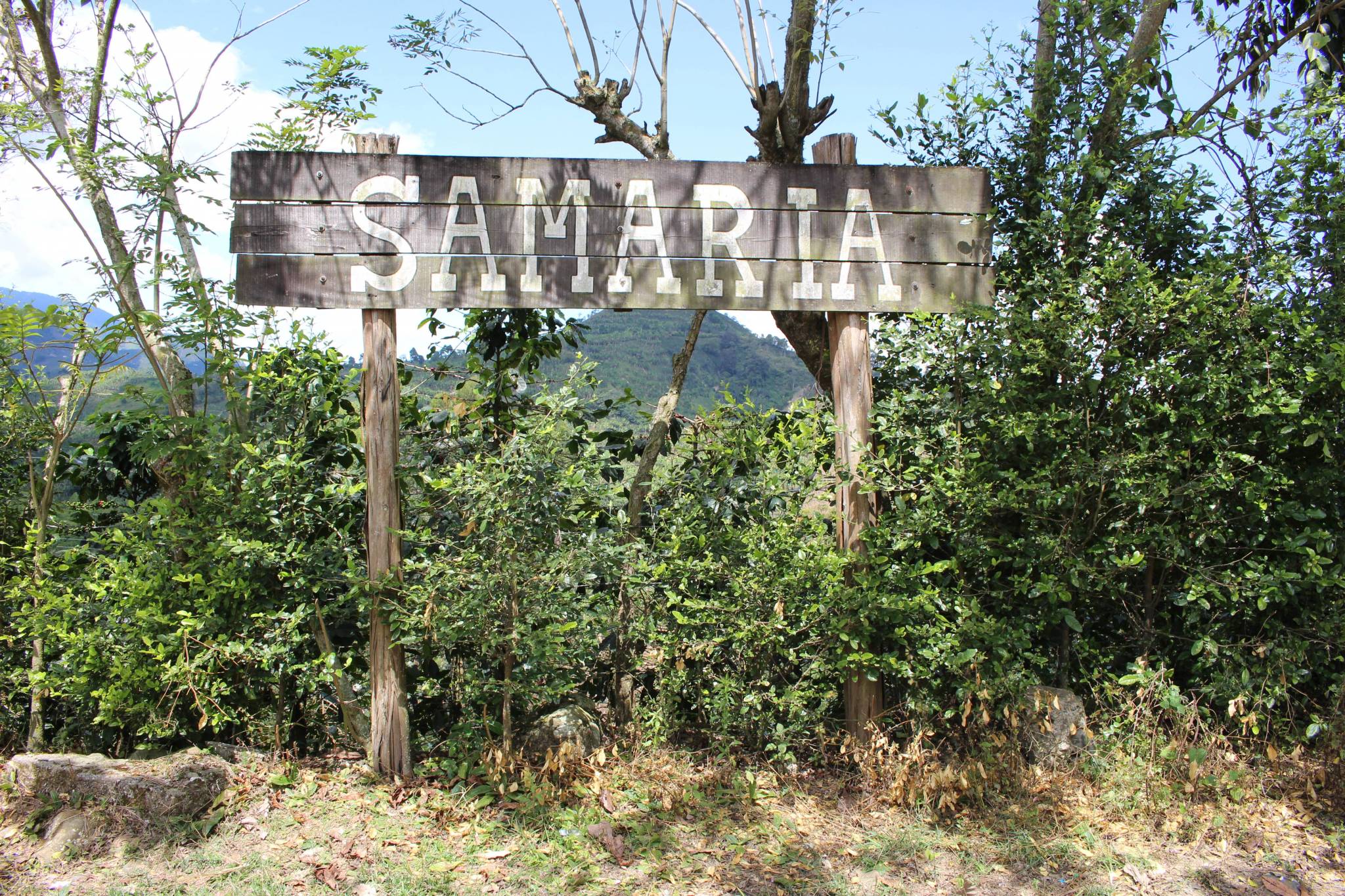 Our days on the estate, listening to a family history