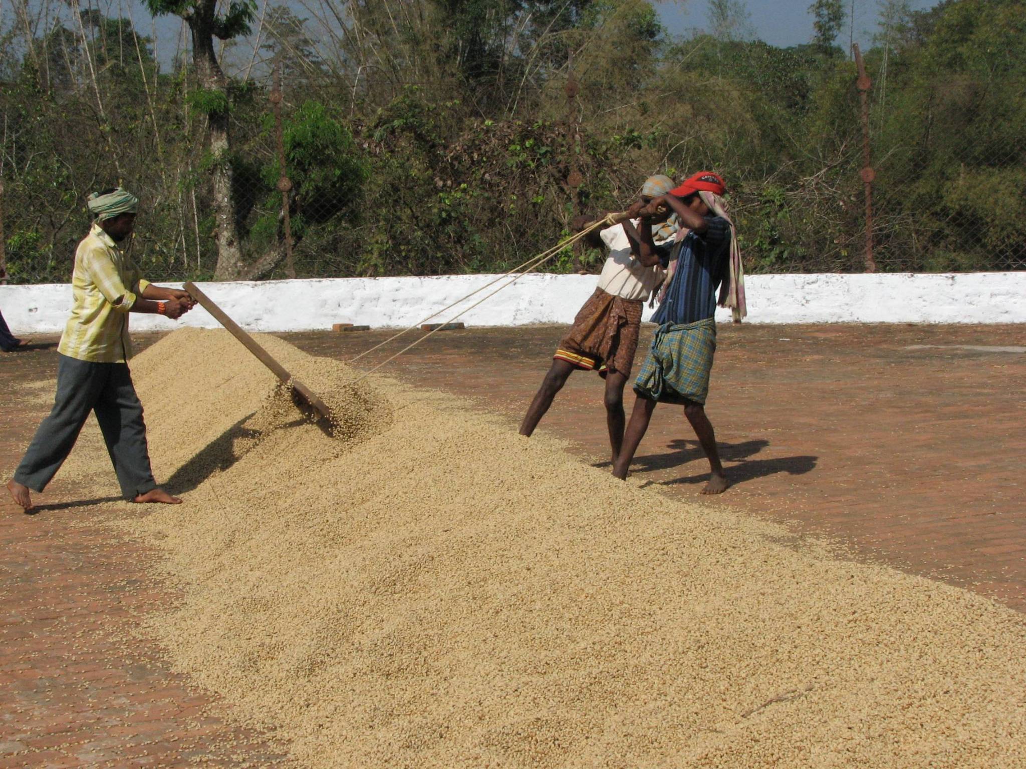 How is the coffee we have selected produced?