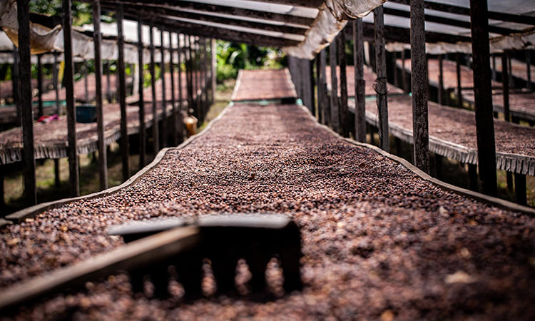 Ce ne occupiamo noi per te