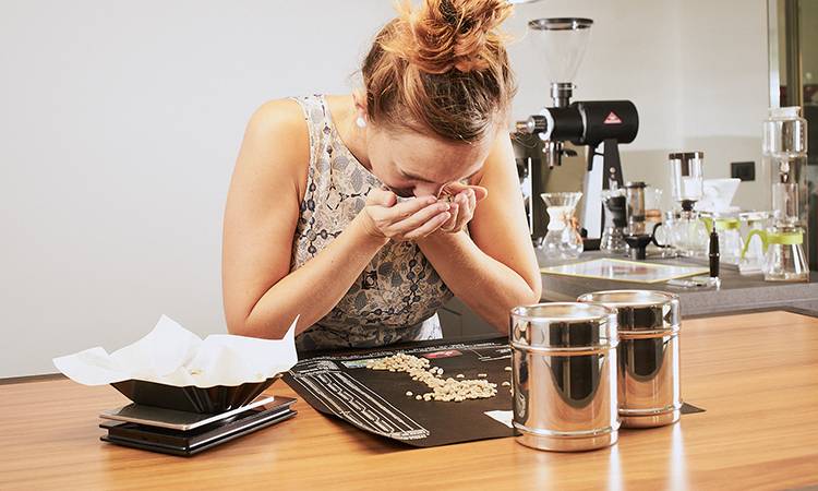 WHAT ARE THE EVALUATION CRITERIA, AND WHAT DO WE EVALUATE?