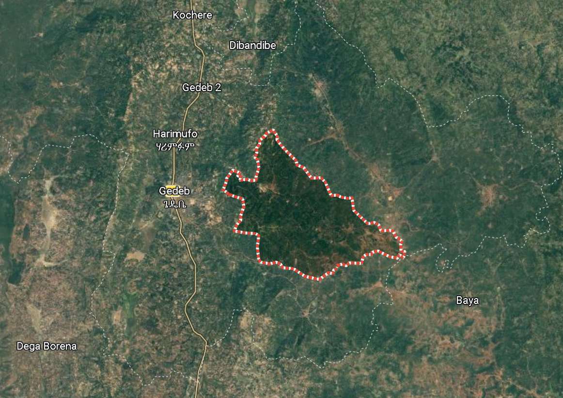 Vi presentiamo il suo fondatore, Aman Adinew!