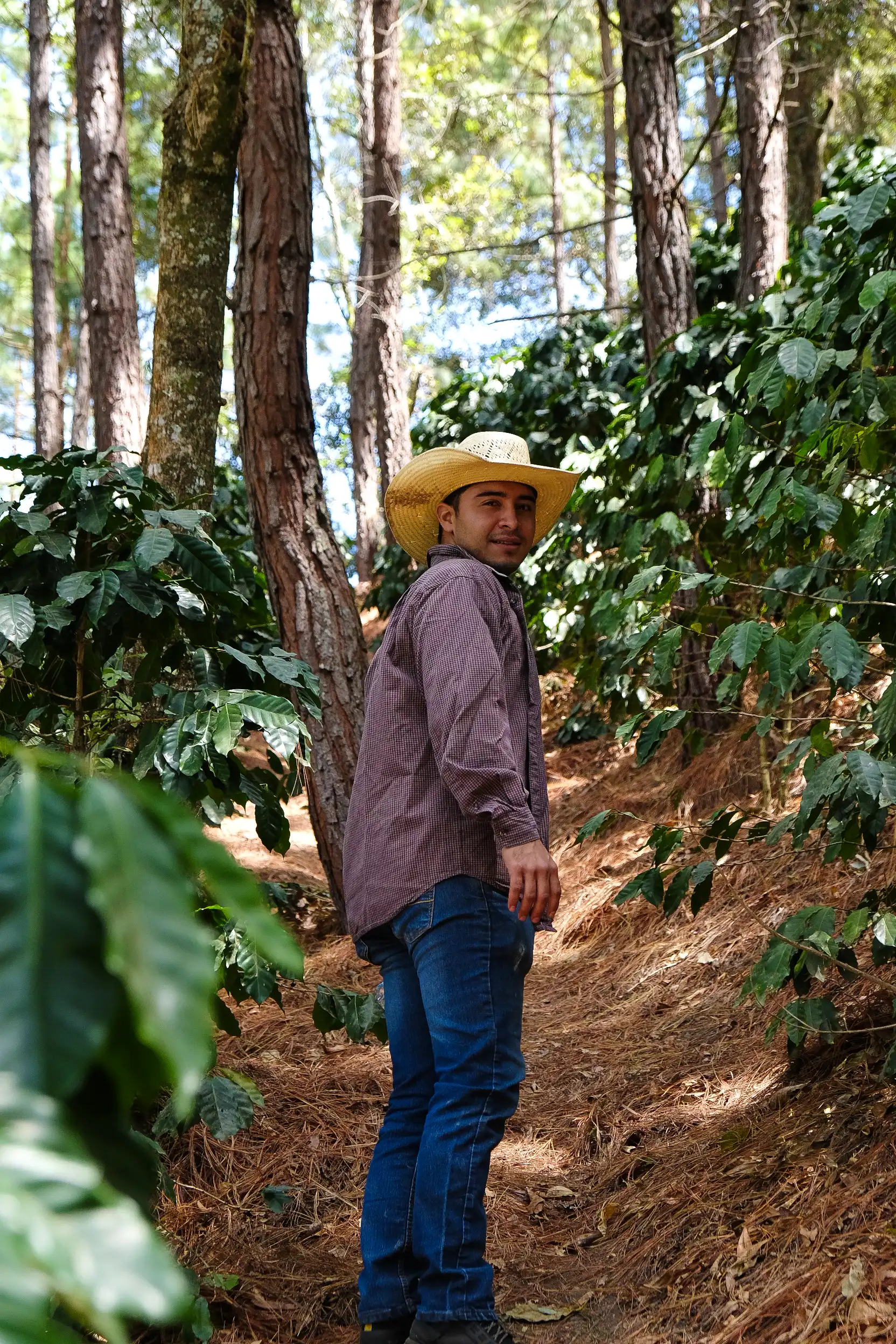 An agricultural landscape shaped by the forest