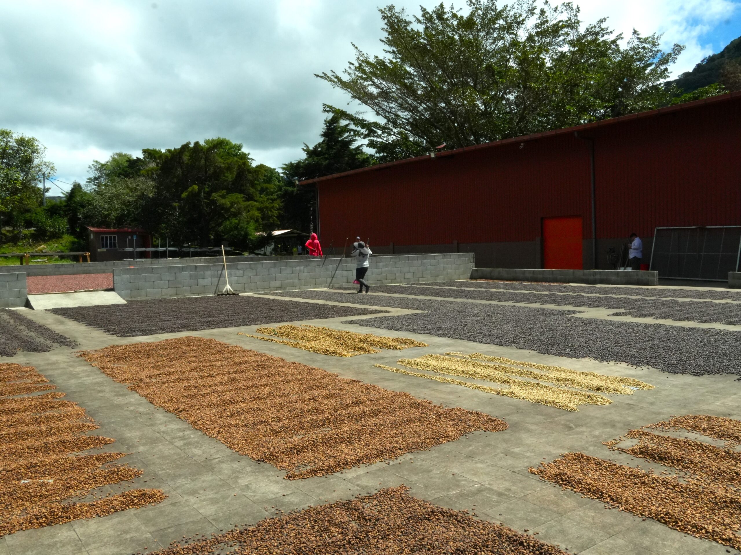 Regenerative Agriculture