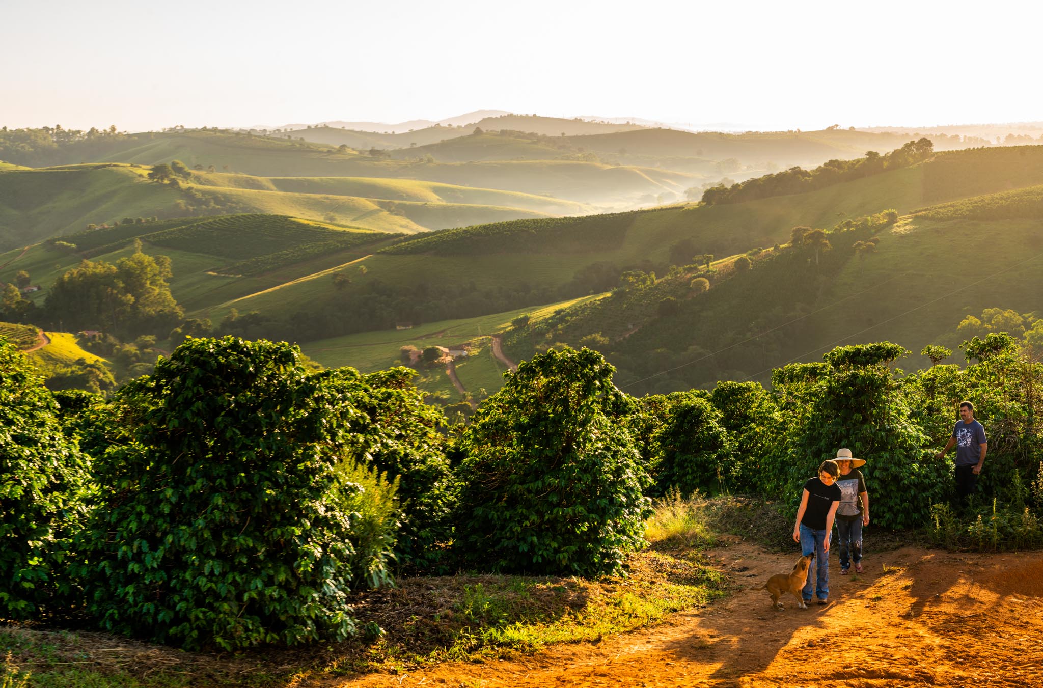 FAF: A Model of Organic, Sustainable and Regenerative Agriculture